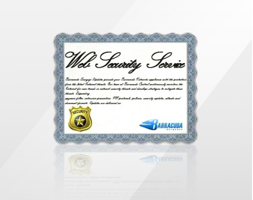 BWU100a-w12 - Web Security Service 1 Year Service